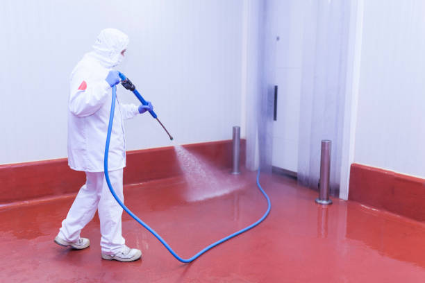 Trusted Newark, CA Pressure Washing Services Experts